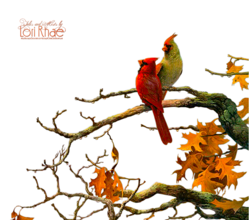 őszi állatok_74.png